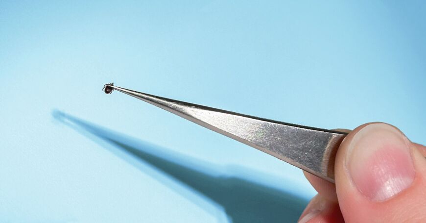 Teräväkärkisillä pinseteillä saa poistettua punkin tarkasti ottamalla pihdeillä kiinni punkin imukärsästä.