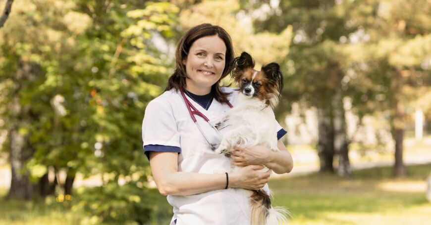 Pieneläinsairaalan eläinlääkäri huolehtii lemmikkien terveydestä