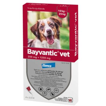 BAYVANTIC VET KOIRILLE 10-25 KG 250/1250 mg PAIKALLISVALELULIUOS 4x2,5 ml