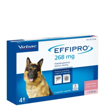 EFFIPRO 268 mg PAIKALLISVALELULIUOS SUURILLE KOIRILLE 4x2,68 ml