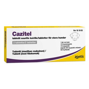 CAZITEL TABLETIT SUURILLE KOIRILLE 175/504/525 mg TABLETTI LÄPIPAINOPAKKAUS KOTELOSSA 2 fol