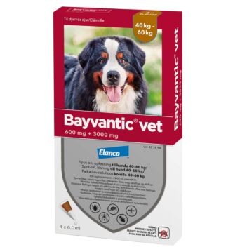 BAYVANTIC VET KOIRILLE 40-60 KG 600/3000 mg PAIKALLISVALELULIUOS 4x6,0 ml