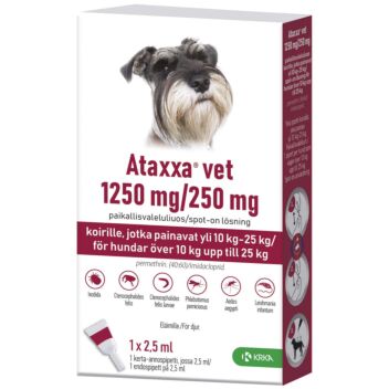 ATAXXA VET 1250/250 mg PAIKALLISVALELULIUOS KOIRALLE YLI 10 KG-25 KG 2,5 ml