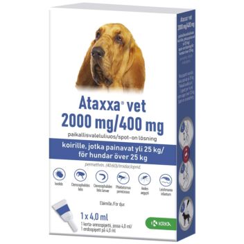 ATAXXA VET 2000/400 mg PAIKALLISVALELULIUOS KOIRALLE YLI 25 KG-40 KG 4 ml