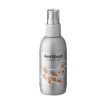 ANTISEPT 0,05% VET DESINFIOIVA SUIHKE 100 ML