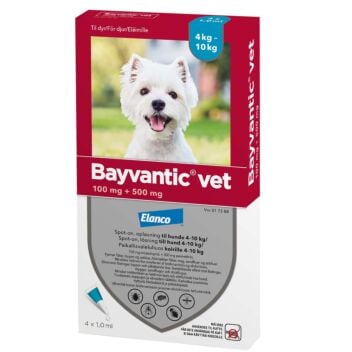 BAYVANTIC VET KOIRILLE 4-10 KG PAIKALLISVALELULIUOS 4x1,0 ml