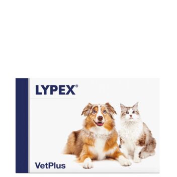 LYPEX VET KAPS 60 KPL
