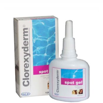 CLOREXYDERM SPOT GEL KISSOILLE/KOIRILLE 100 ML