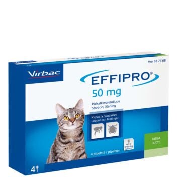 EFFIPRO KISSOILLE 100MG/ML PAIKALLISVALELULIUOS 4x0,5 ml