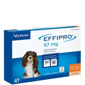 EFFIPRO KOIRILLE 2-10KG 100MG/ML PAIKALLISVALELULIUOS 4x0,67 ml