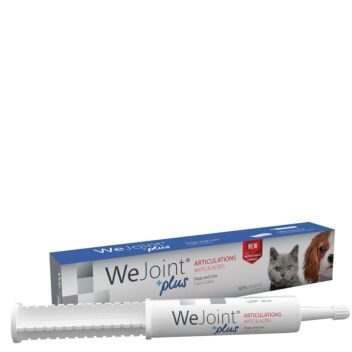 WEJOINT PLUS MAKUPASTA 30 ml